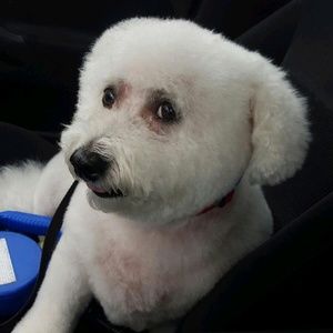 Meet your Posher, Karen